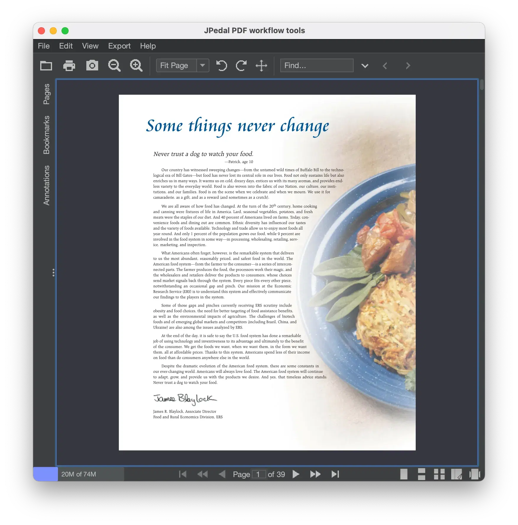 Java PDFビューア
